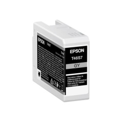 EPSON 5LB Singlepack Gray T46S7 UltraChrome Pro 10 ink 26ml