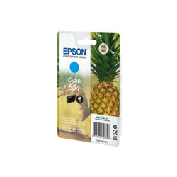 EPSON 4LB Singlepack Cyan 604 Ink