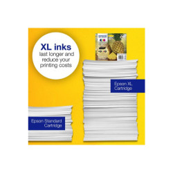 EPSON 1LB Multipack 4colours 604 Ink