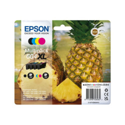 EPSON 1LB Multipack 4colours 604XL Ink