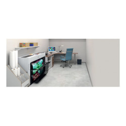 EPSON SureColor SC-P6500E 24p Single Roll no PostScript