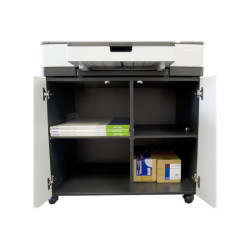 EPSON Stylus Pro Cabinet- for ex. Stylus Pro 4900