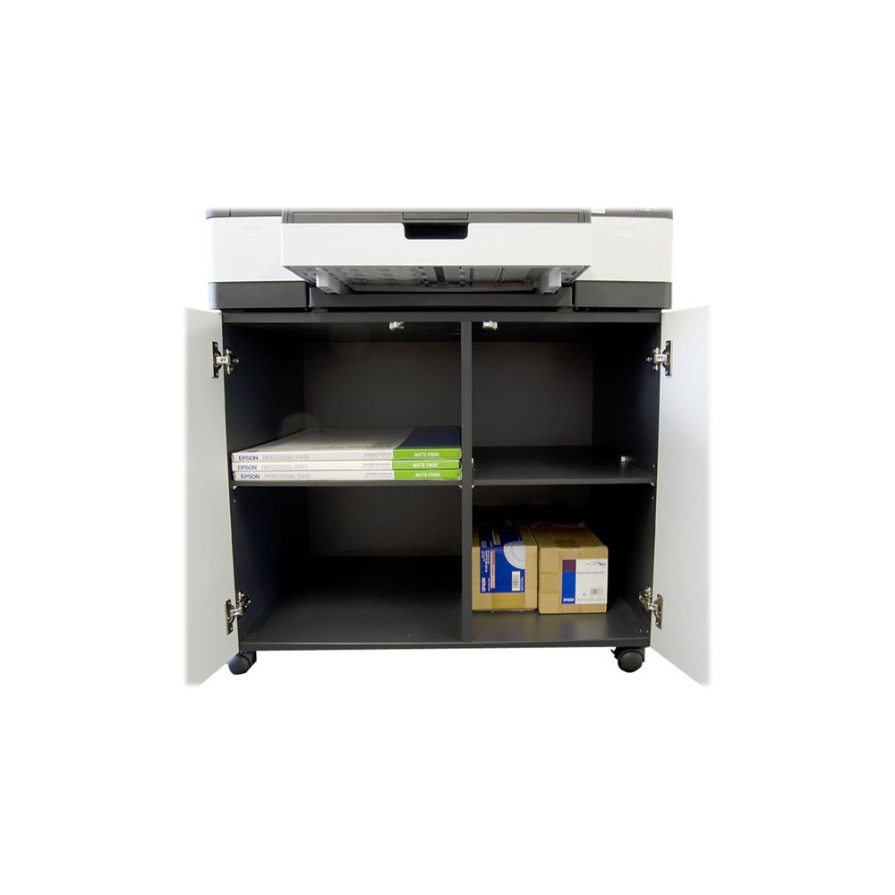 EPSON Stylus Pro Cabinet- for ex. Stylus Pro 4900