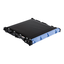 BROTHER Courroie de transfert (50000 pages) pour HLL8250CDN / HLL8350CDW / HLL9200CDWT / DCPL8400CDN / DCPL8450CDW