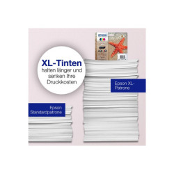 EPSON 1LB Multipack 4-colours 603 Ink w/s